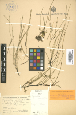 LE 01006308