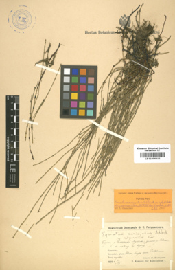 LE 01006312