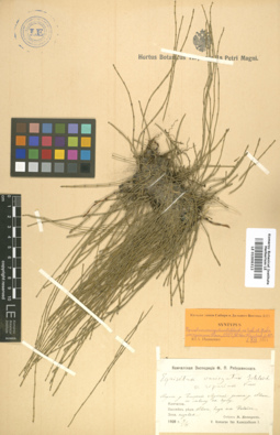 LE 01006313