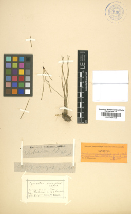 LE 01006318