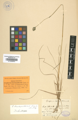 LE 01006552