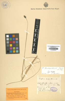 LE 01006553