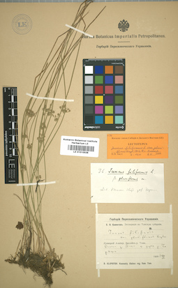 LE 01010538