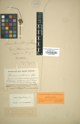 LE 01010544