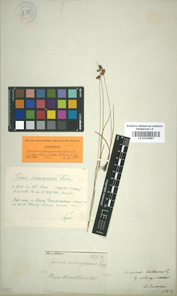 LE 01010551