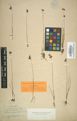 LE 01010552