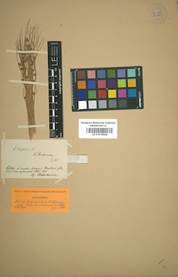 LE 01010558