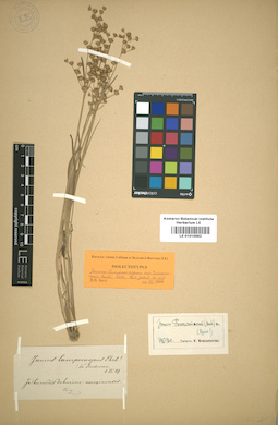 LE 01010562