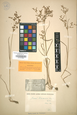 LE 01010563