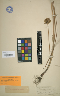 LE 01010651