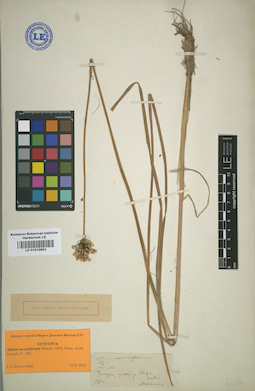 LE 01010652