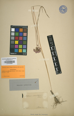 LE 01010653