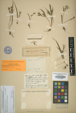 LE 01010670
