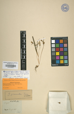 LE 01010672