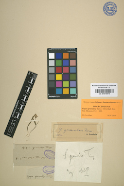 LE 01010673