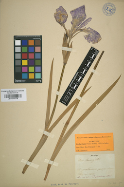 LE 01010778