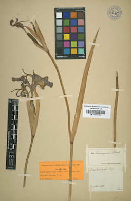 LE 01010780