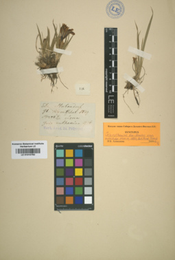 LE 01010792