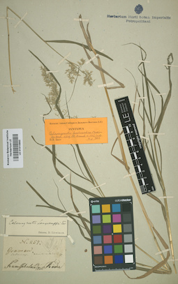 LE 01010993
