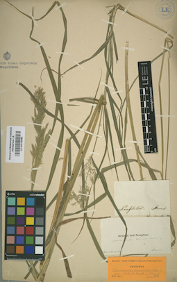 LE 01010994
