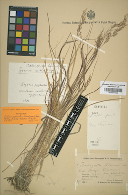 LE 01011003