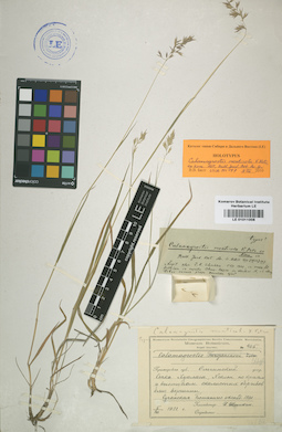 LE 01011008