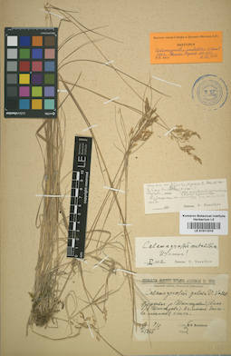 LE 01011010