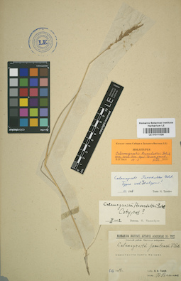 LE 01011026
