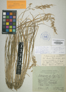 LE 01011033