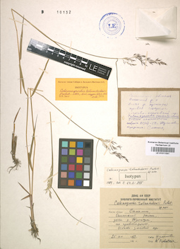LE 01011041