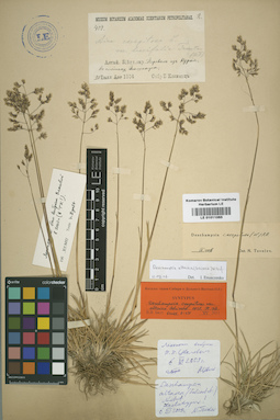 LE 01011065