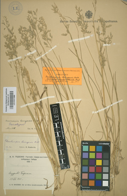 LE 01011069