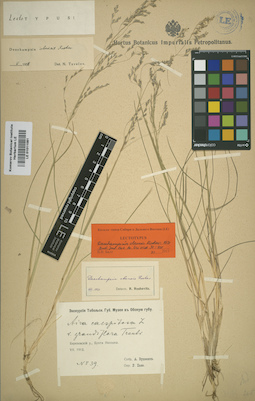 LE 01011081