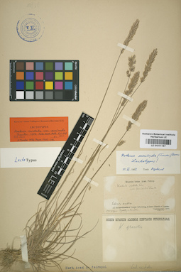 LE 01011157