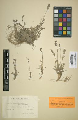 LE 01011204