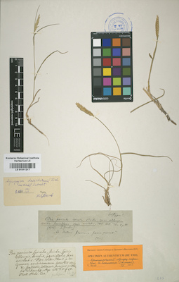 LE 01011217