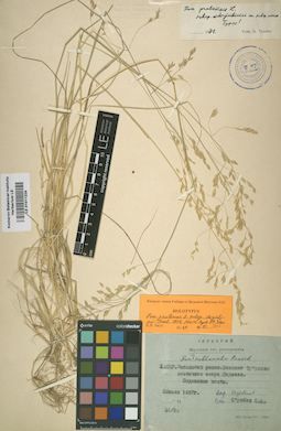 LE 01011224