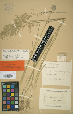 LE 01011244