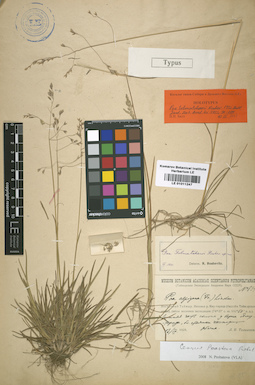 LE 01011247