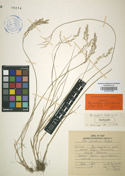 LE 01011259