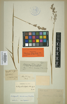 LE 01011266