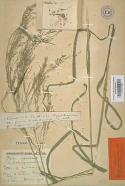 LE 01011280