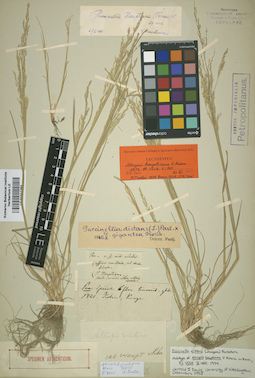 LE 01011283