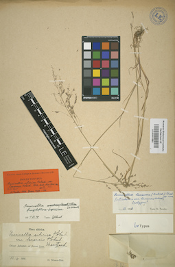 LE 01011301