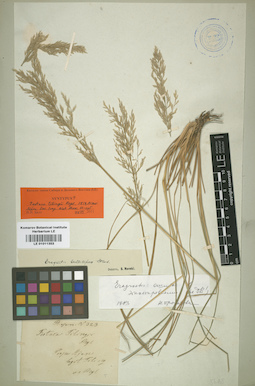 LE 01011353