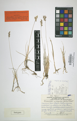 LE 01011389