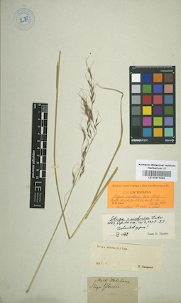LE 01011393