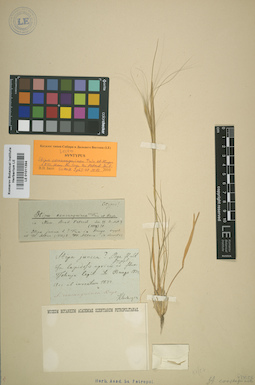 LE 01011394