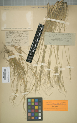 LE 01011396