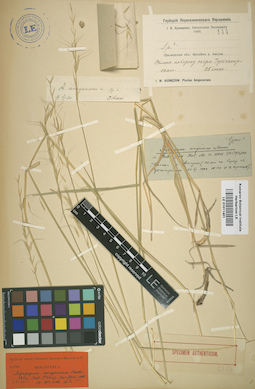 LE 01011401